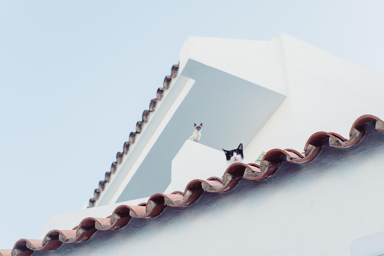 découvrez l'isolation de toiture pour améliorer le confort thermique et réduire vos factures d'énergie. solutions efficaces et durables adaptées à votre toit.