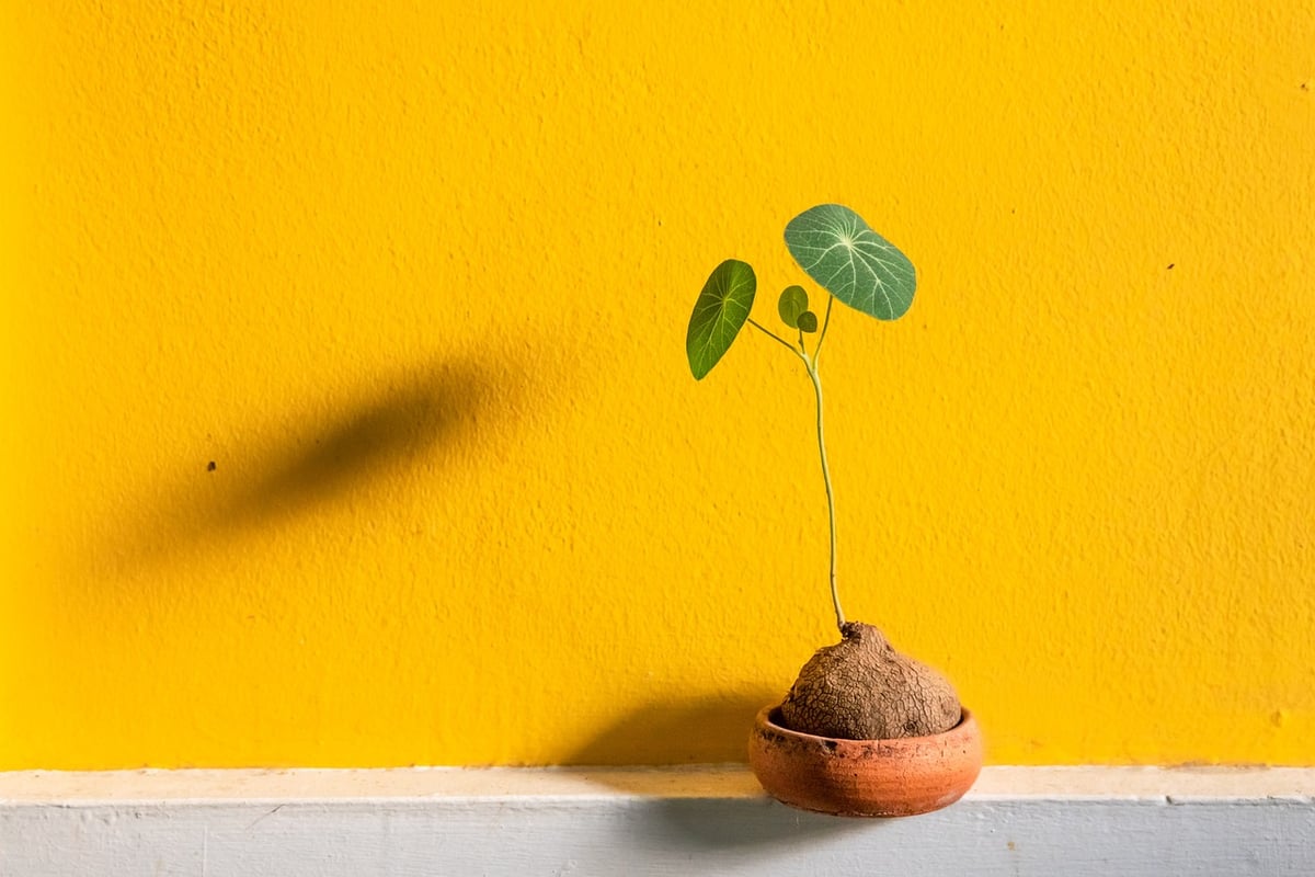 Déco murale minimaliste : idées et tutoriels simples à réaliser