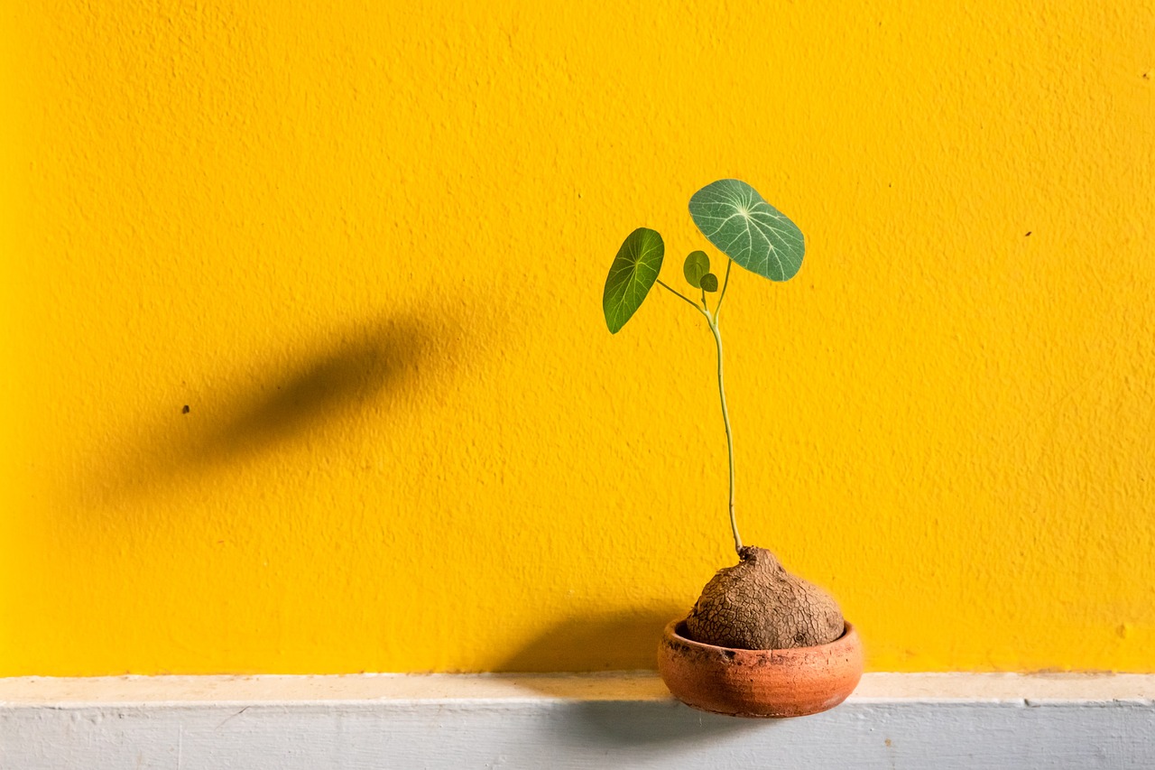Déco murale minimaliste : idées et tutoriels simples à réaliser