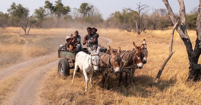 Chariot télescopique : le guide ultime pour bien le choisir