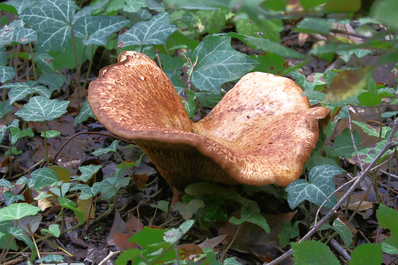 découvrez des solutions efficaces pour la prévention de l'humidité et protégez votre maison contre les dégâts liés à l'humidité.