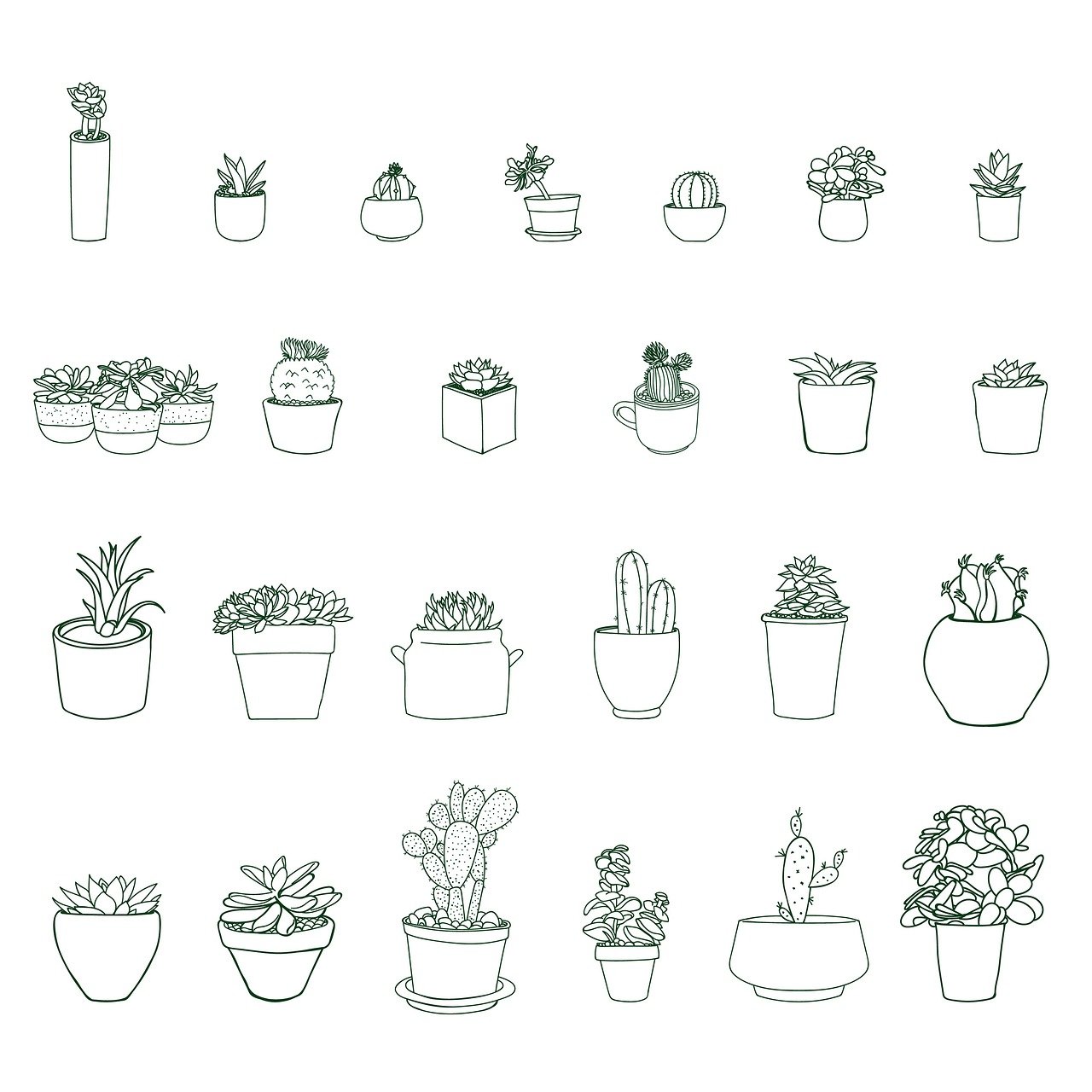 découvrez nos astuces et conseils pour réussir le jardinage d'intérieur et embellir votre maison avec des plantes en pleine santé toute l'année.